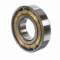 Rollway Bearing Cylindrical Bearing – Caged Roller - Straight Bore - Unsealed N 313 EM C3